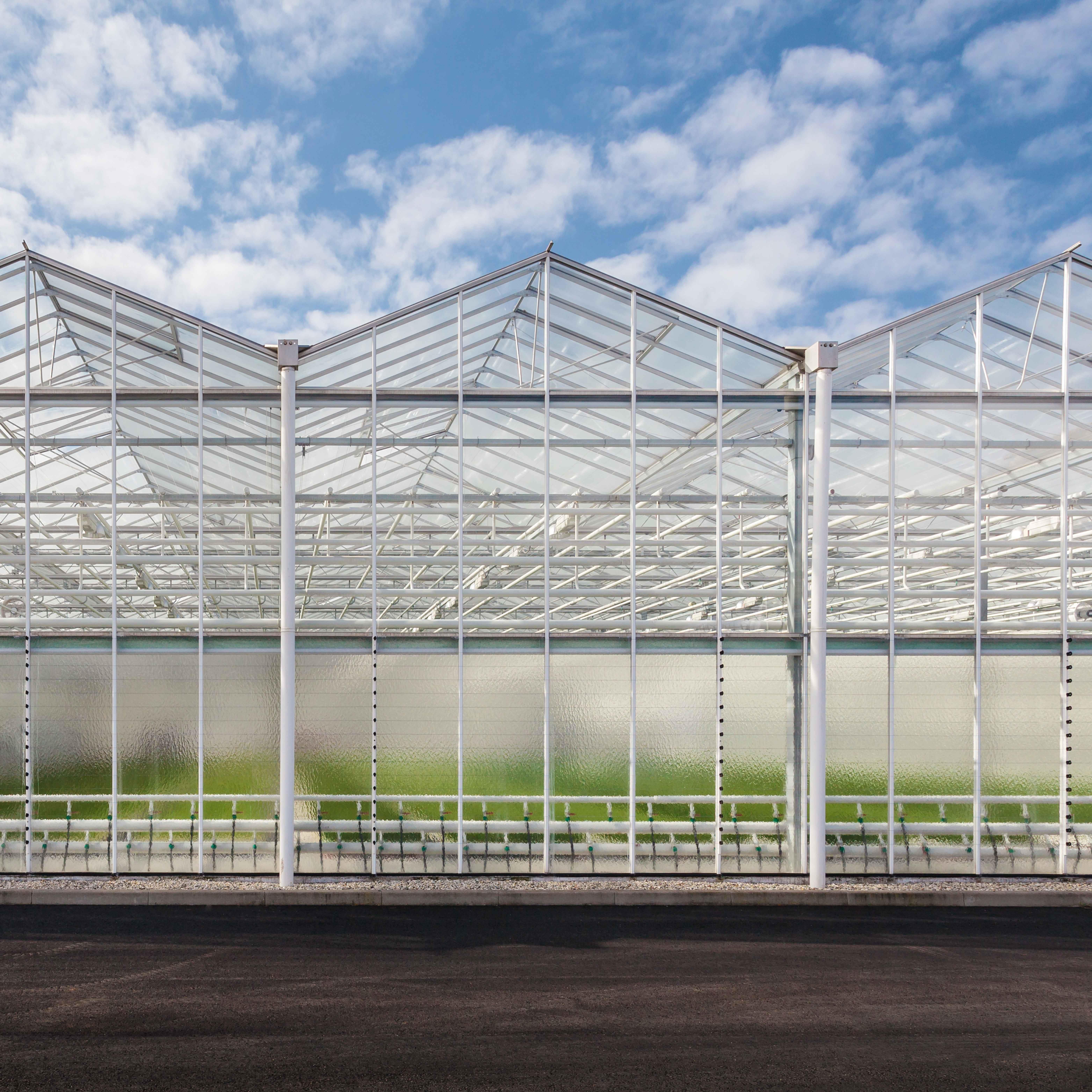 گلخانه شیشه‌ای - آینده کشاورزی نوین در ایران و آذربایجان